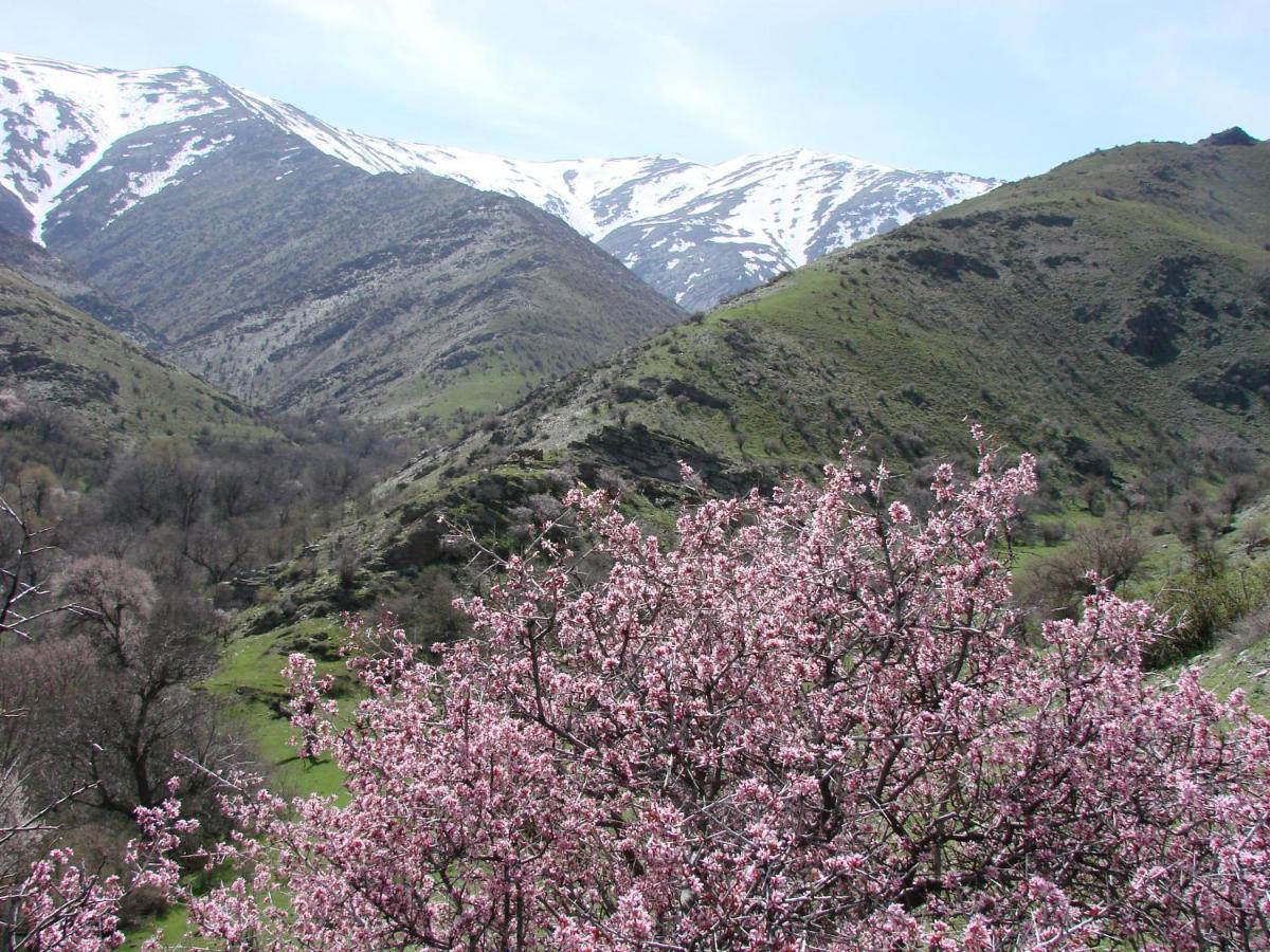 Hayat Guesthouse Nuratau Mountains Yukary-Ukhum エクステリア 写真