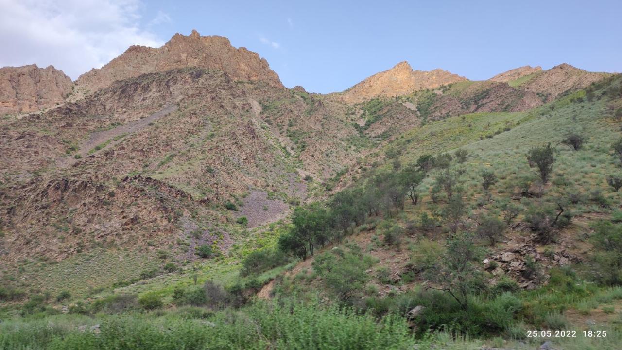 Hayat Guesthouse Nuratau Mountains Yukary-Ukhum エクステリア 写真
