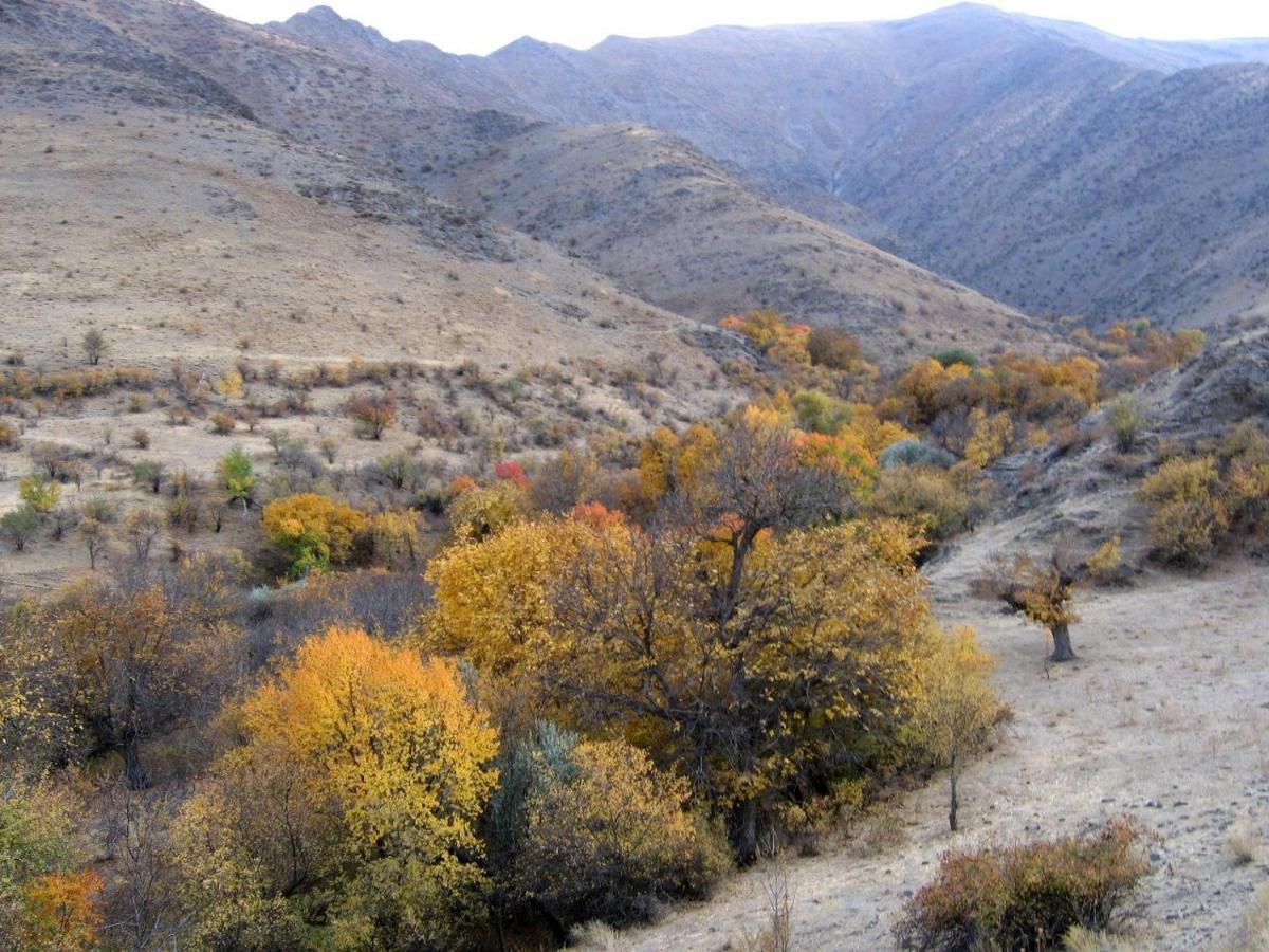 Hayat Guesthouse Nuratau Mountains Yukary-Ukhum エクステリア 写真